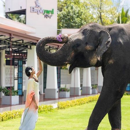 فندق Elephyard Retreat ماهيانجانايا المظهر الخارجي الصورة