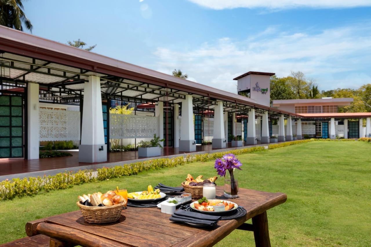 فندق Elephyard Retreat ماهيانجانايا المظهر الخارجي الصورة
