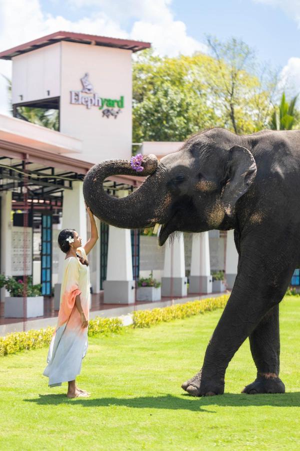 فندق Elephyard Retreat ماهيانجانايا المظهر الخارجي الصورة