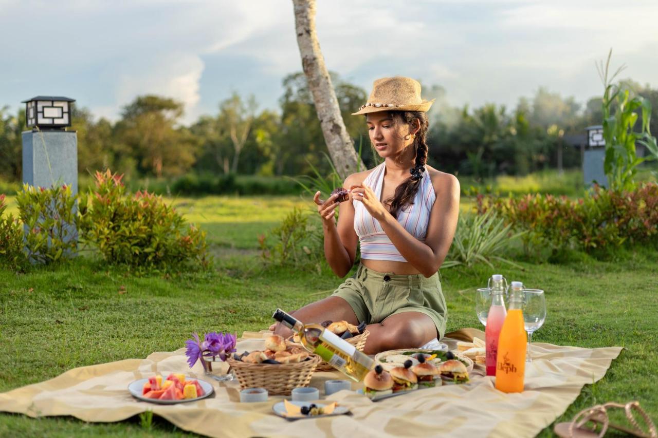 فندق Elephyard Retreat ماهيانجانايا المظهر الخارجي الصورة